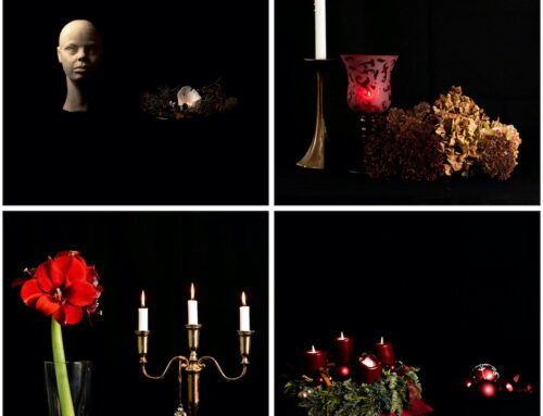 Der Advent. Ein Tetraptychon