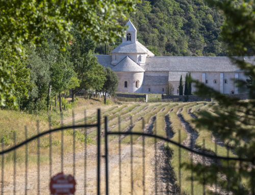 Frankreich 2022 — (Auch) Eine Fotoreise