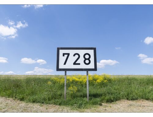 Stadt — Land — Rhein: Niersausstellung 2025